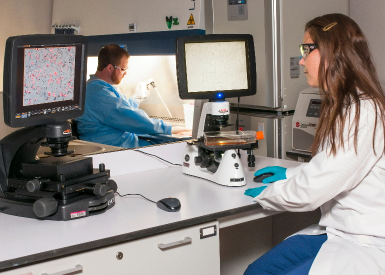 Biomedical Science